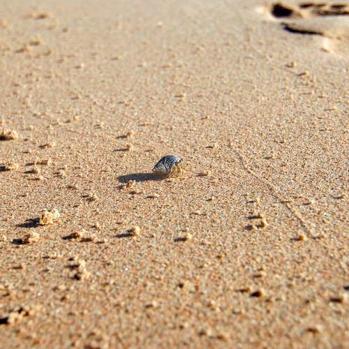 Photo #7163836