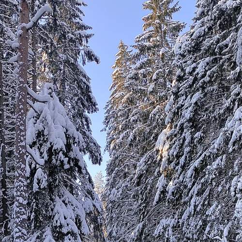 Photo #7164204