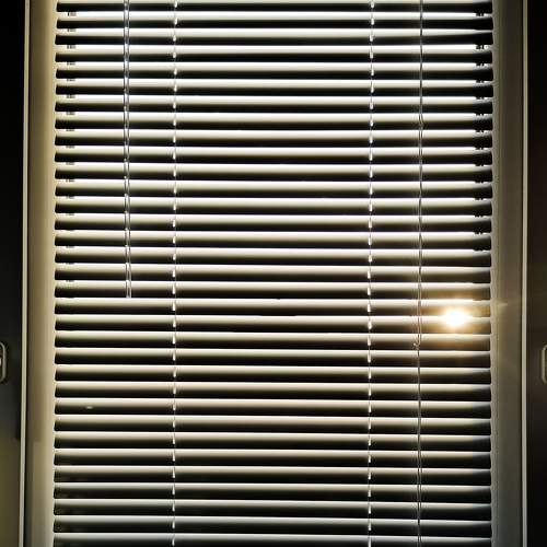Photo #7164275