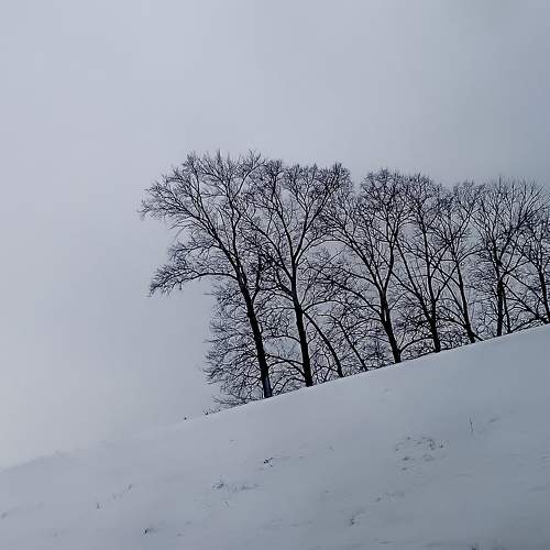 Photo #7164278
