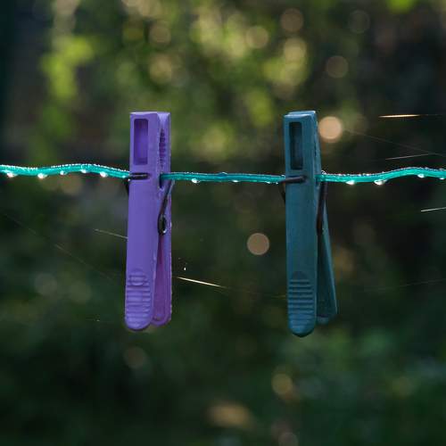 Photo #7164351