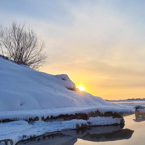 Photo #7164379