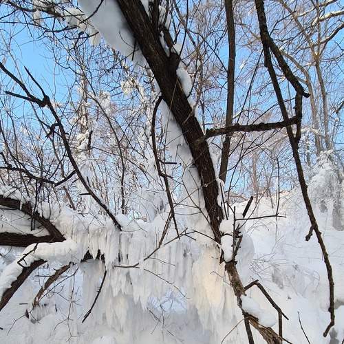 Photo #7164392