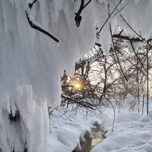Photo #7164404