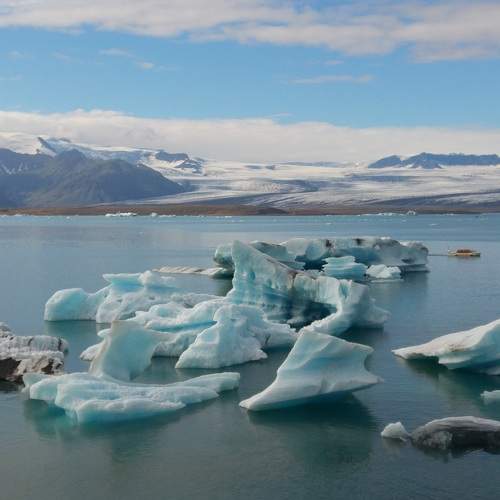 Photo #7164556