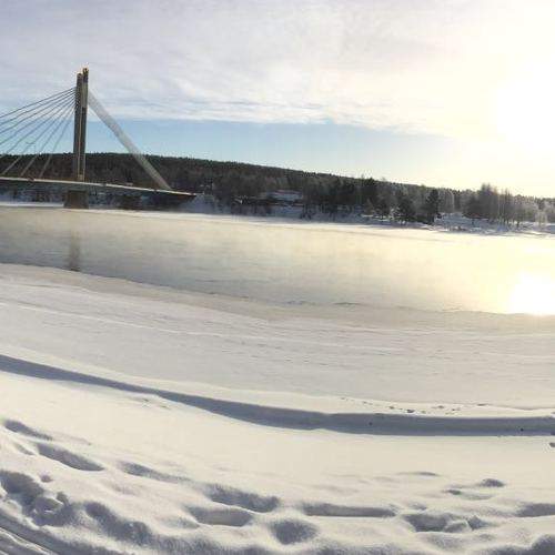 Photo #7164571