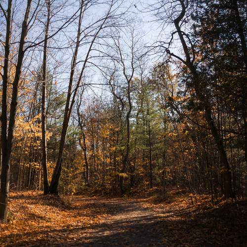 Photo #7164771