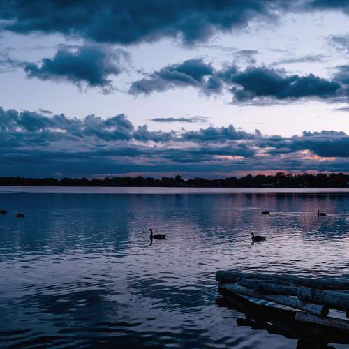 Photo #7164840
