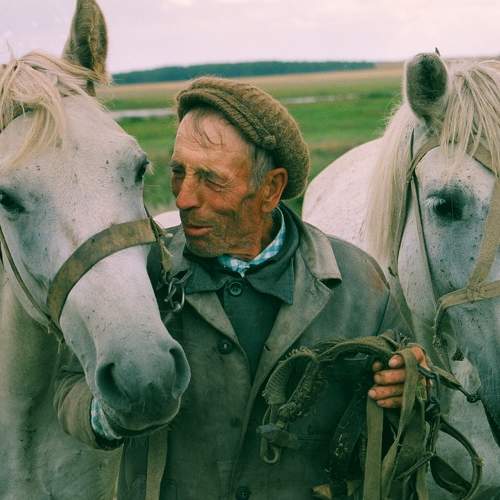 Photo #7164898