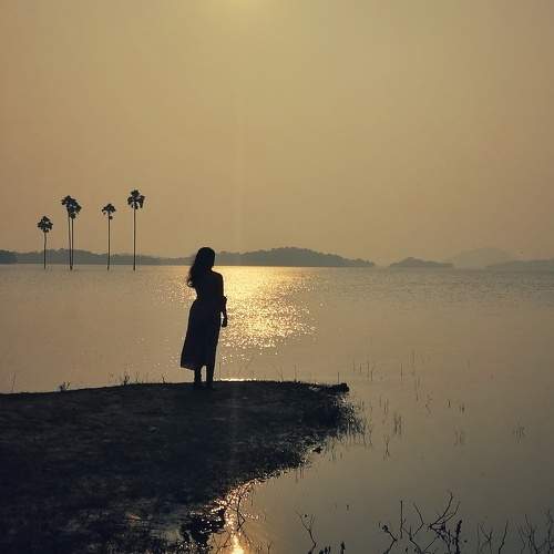Photo #7164926