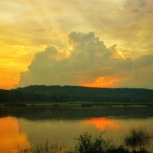 Photo #7164933