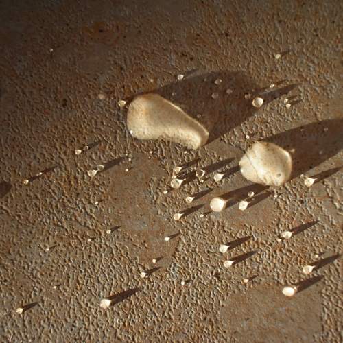 Photo #7165340