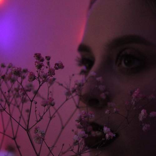 Photo #7165373