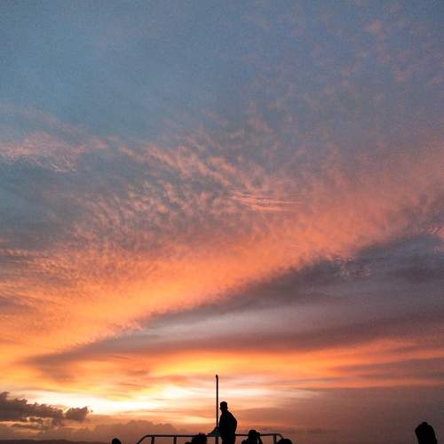 Photo #7165682