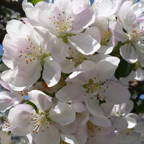 Photo #7165716