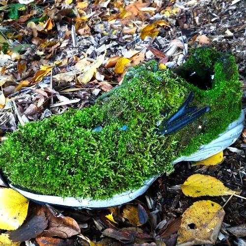 Photo #7165717