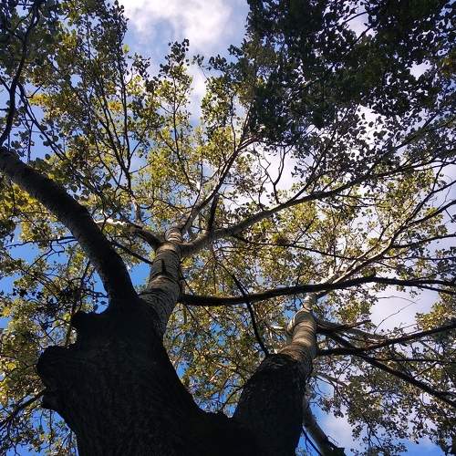 Photo #7165991