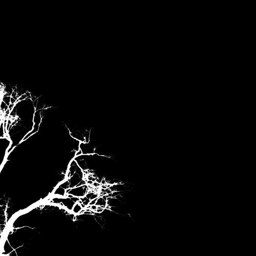 LIGHT