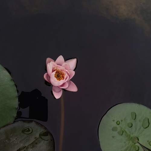 Photo #7166456