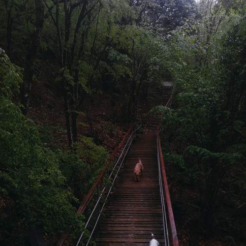 Photo #7166457