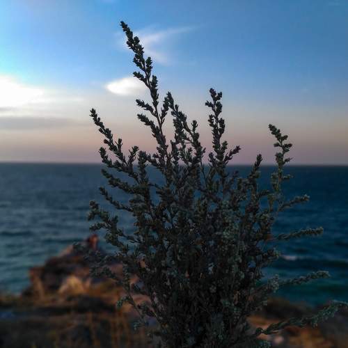 Photo #7166500