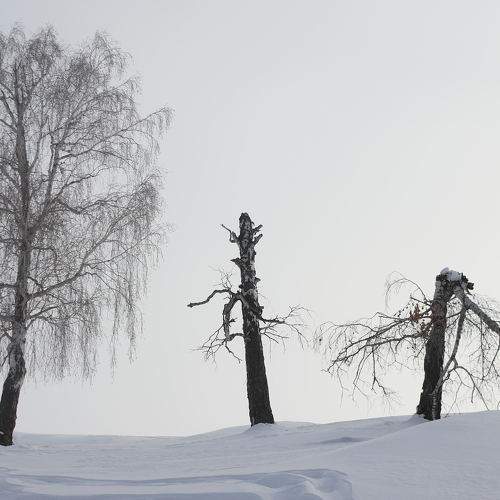 Photo #7166566