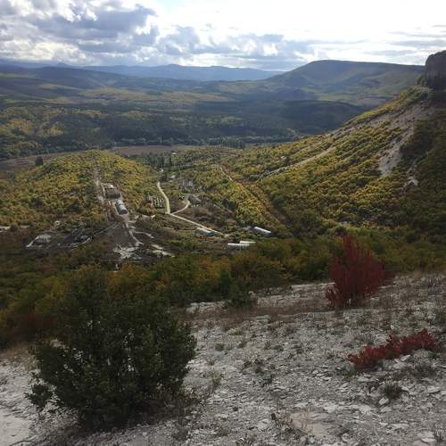 Photo #7166596
