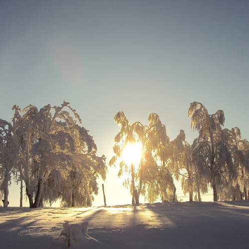 Photo #7166713