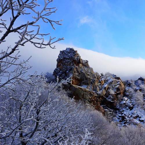 Photo #7166970