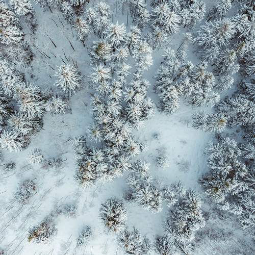 Photo #7167040