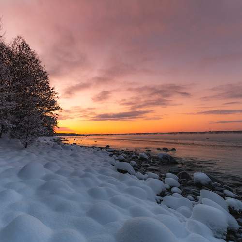 Photo #7167129