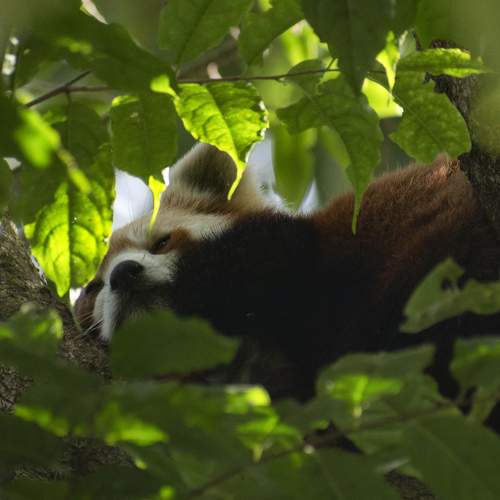 Photo #7167163