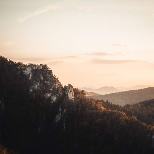Photo #7167550