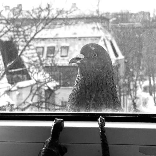 Photo #7167957