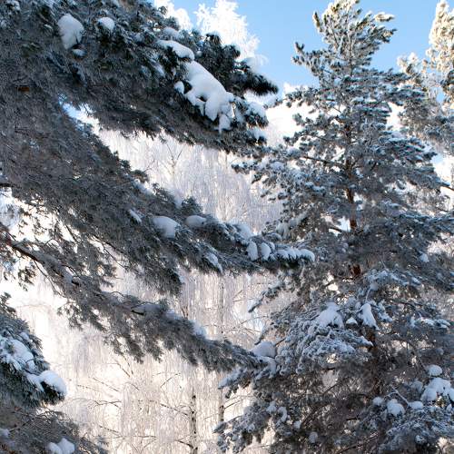 Photo #7168000