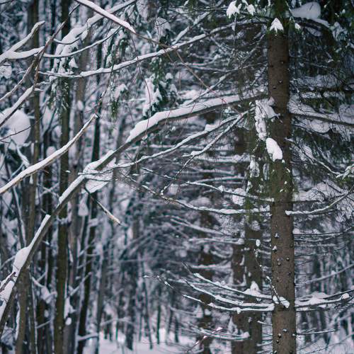 Photo #7168103