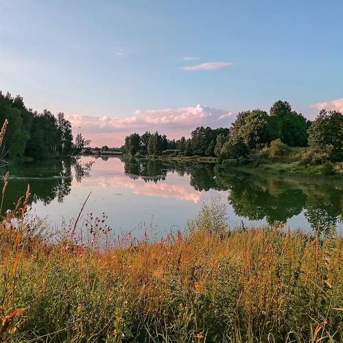 Photo #7168210