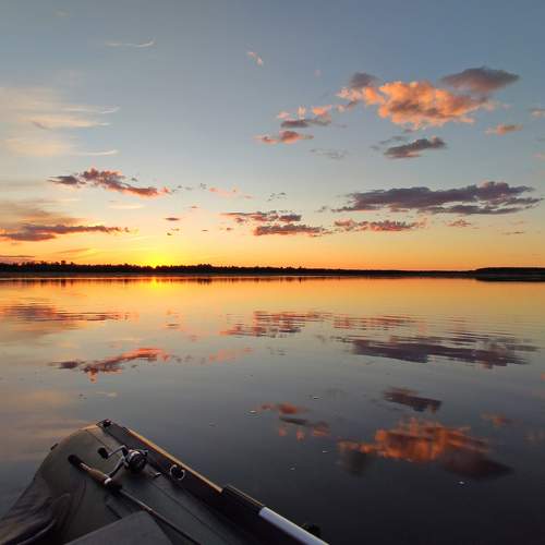 Photo #7168343