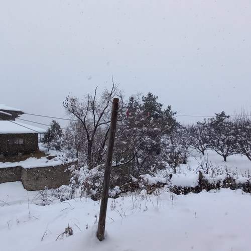 Photo #7168689
