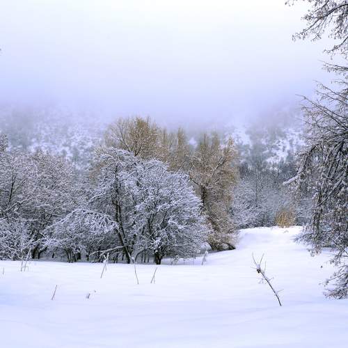 Photo #7169113