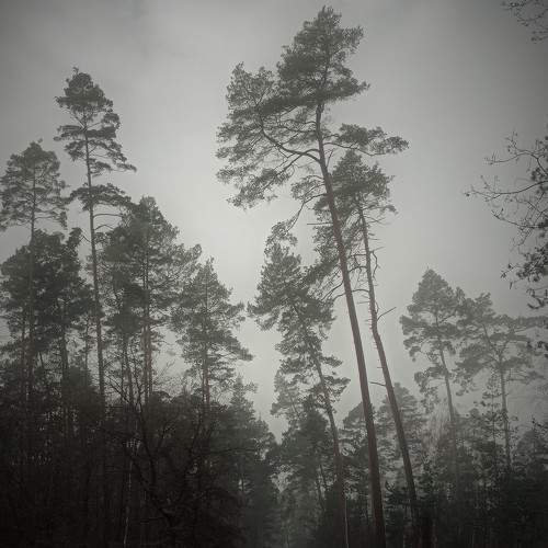Photo #7169252