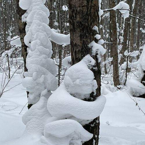 Photo #7169359