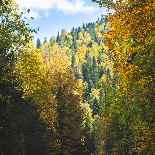 Photo #7169550