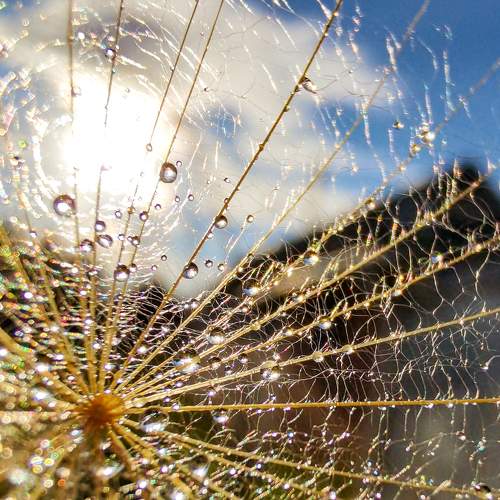 Photo #7170103