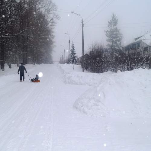 Photo #7170230