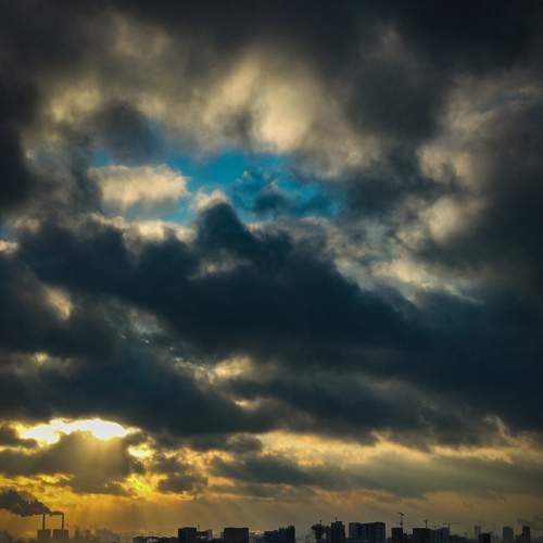 Photo #7170236