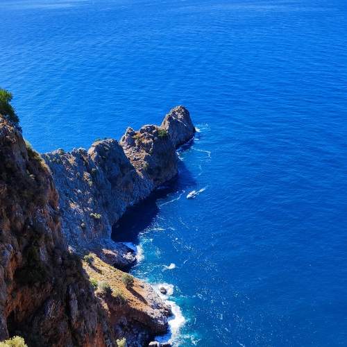 Photo #7170565