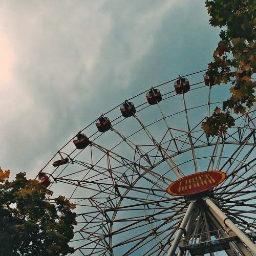 Photo #7170743