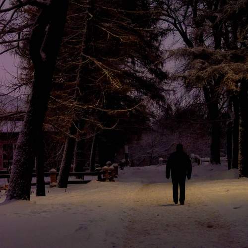Photo #7170791