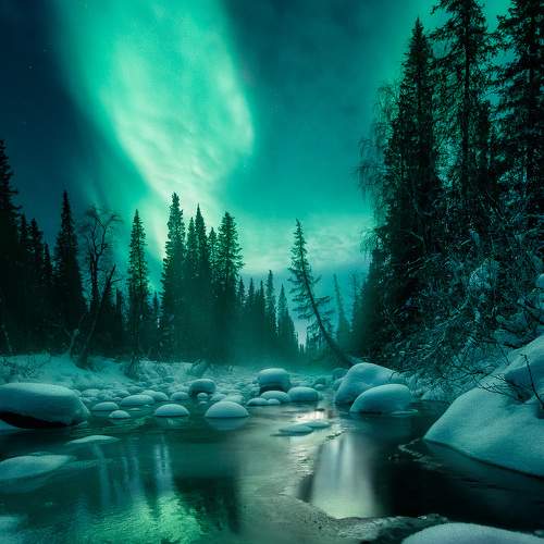 Photo #7170880